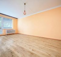 2-bedroom apartment with orange walls and wood-patterned flooring.
