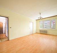 A bright living space in a two-room apartment with wood-patterned flooring and large windows.