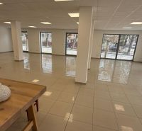 Empty commercial spaces with large windows, tiled floor, white interior, decorations.