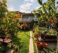 The garden of a family house on Muškátová Street in Pezinok with a bench and a walkway.
