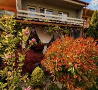 A family house on Muškátová Street in Pezinok with a landscaped garden full of flowers.