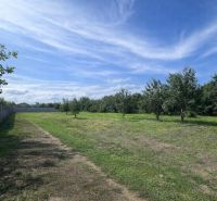 Land on Ábovská in Ždaňa, suitable for living, with fruit trees.