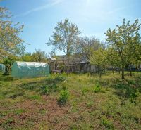 A garden with a greenhouse and trees at a family house in Veľký Lapáš.