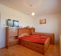 Bedroom with a bed, television, and wooden decor flooring in a family house.