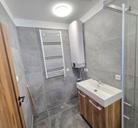 A bathroom with modern equipment and gray tiles in a family house.