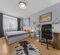 Bedroom in a three-room apartment with a wood-patterned floor, a desk, and a decorative rug.