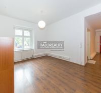 Living room in a five or more room apartment with wooden flooring and a large window.