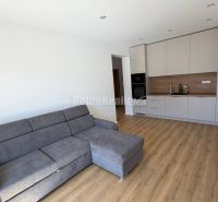 Living room with a kitchen, gray sofa, and wooden decor flooring in a two-room apartment.