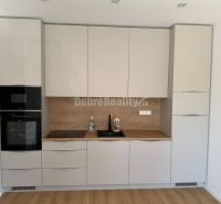 Kitchen in a 2-room apartment with white cabinets and a wood-patterned floor.