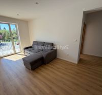 Living room in a 2-room apartment with a sofa bed and a wooden decor floor.