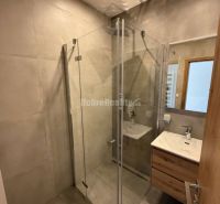 A bathroom with a modern shower and sink in a 2-room apartment.