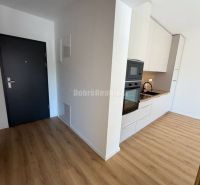 Entrance to a 2-room apartment with a kitchen, wooden decor flooring, white cabinets.