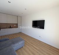 Living room in a two-room apartment with a corner sofa and kitchen, floor with wood decor.