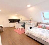 Bright bedroom in a two-room apartment with wood-patterned flooring and a skylight.