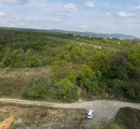 A landscape with forests and a road in Častá surrounds the rural Gardens.