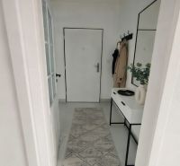 A hallway in a 2-room apartment with a narrow carpet, a mirror, and a coat rack.