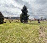 A garden at a family house in Vysoká nad Kysucou with a lawn and trees.