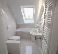 A bathroom in a 2-room apartment with a bathtub, a skylight, and a hanging mirror.