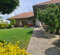 A garden by a 3-room apartment in Šamorín with greenery and a stone path.