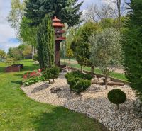 A garden with ornamental trees and shrubs in the town of Šamorín, suitable for a 3-room apartment.