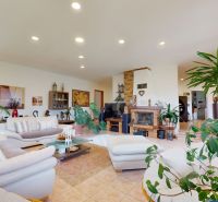 A relaxation area in a family house with a fireplace, plants, and comfortable sofas.