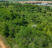 DJI_20250617160922_0061_D_zmenšené.JPG