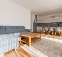 Living room in a 3-room apartment with a wooden decor floor, a sofa, and a kitchenette.