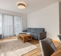 Living room in a 3-room apartment with a corner sofa and a wooden decor floor.