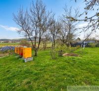 The garden of a family house in Stožok with beehives and fruit trees in a green environment.