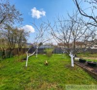 A garden with fruit trees and a chicken near a family house in Stožok.