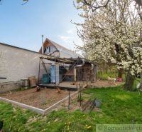 A garden at a family house in Stožok with flowers and a fenced animal enclosure.