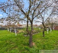 Garden in Stožok near a family house with blooming trees and a lawn.