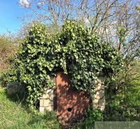 An old cottage in Šahy covered with climbing plants, trees, and lush green grass.