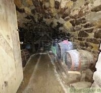 A stone cellar in a cottage with wooden barrels and an earthen floor.