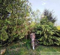 The greenery near the cottage in Šahy with a wooden wheel and rustic decor.