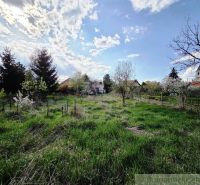 A blooming garden in Šahy surrounds cottages and a church under a blue sky.
