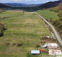 A road and fields around a family house in Zubné surrounded by nature.