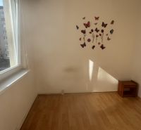 A room with a wooden decor floor, butterfly decorations, and furniture in a three-room apartment.