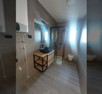 Bathroom in a holiday apartment with wood-patterned flooring and a shower enclosure.