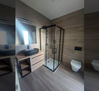 Bathroom in a holiday apartment with a modern shower and wooden decor flooring.
