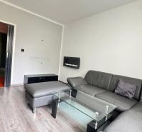 Living room in a 3-room apartment with a leather sofa and a wooden decor floor.