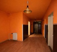 Orange hallway with wood-patterned flooring and ceiling lights in a family house.