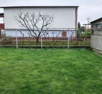 The garden at the family house on Antona Bernoláka Street in Kolárovo with a wooden fence.