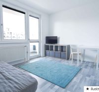 Studio apartment with wood-patterned flooring, armchair, table, carpet, TV, armchair.