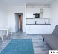 Studio apartment with a kitchenette, sofa, table, and wooden decor flooring.