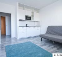 Studio apartment with a white kitchen unit, gray sofa, and wood-patterned flooring.