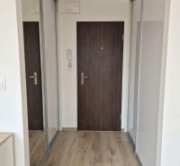 A hallway with a wooden decor floor and a built-in wardrobe in a studio apartment.