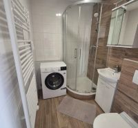 Bathroom of a studio apartment with a shower, washing machine, and floor with a wood decor.