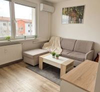 Living room in a one-bedroom apartment with a sofa, coffee table, and wooden decor flooring.