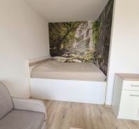 A room in a one-room apartment with a bed, a sofa, and a forest photo wallpaper.